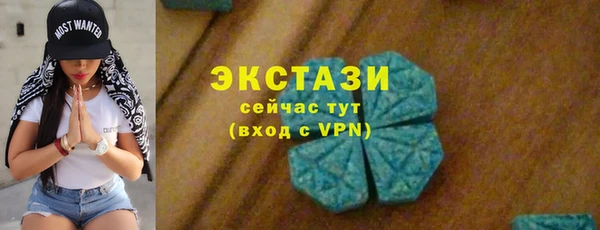меф Ельня