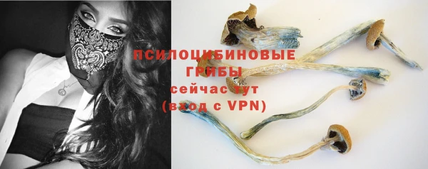 гидра Дмитров