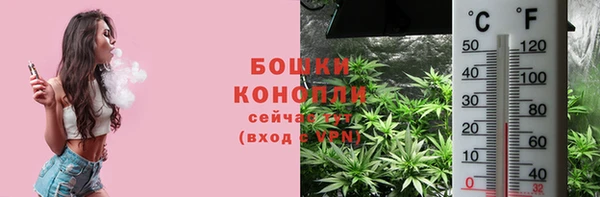 гидра Дмитров