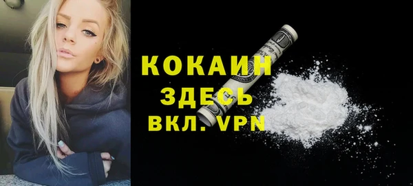 ECSTASY Елизово