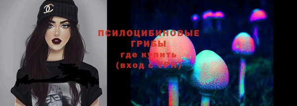 таблы Дмитровск