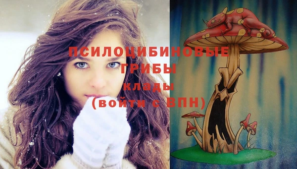 таблы Дмитровск