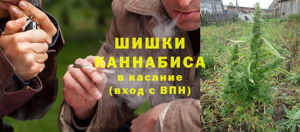 гидра Дмитров