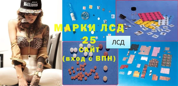 ПСИЛОЦИБИНОВЫЕ ГРИБЫ Елабуга