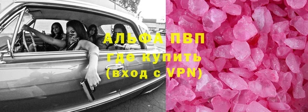 ECSTASY Елизово