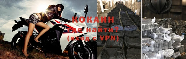 ПСИЛОЦИБИНОВЫЕ ГРИБЫ Елабуга