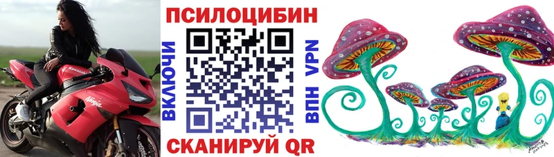 закладка  Рубцовск  Псилоцибиновые грибы ЛСД 